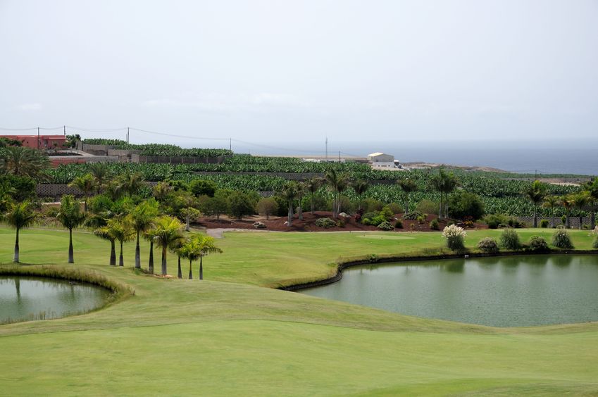 golf course in tenerife