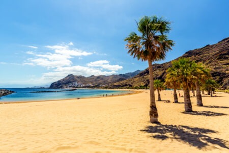 Top Tenerife Live Webcams