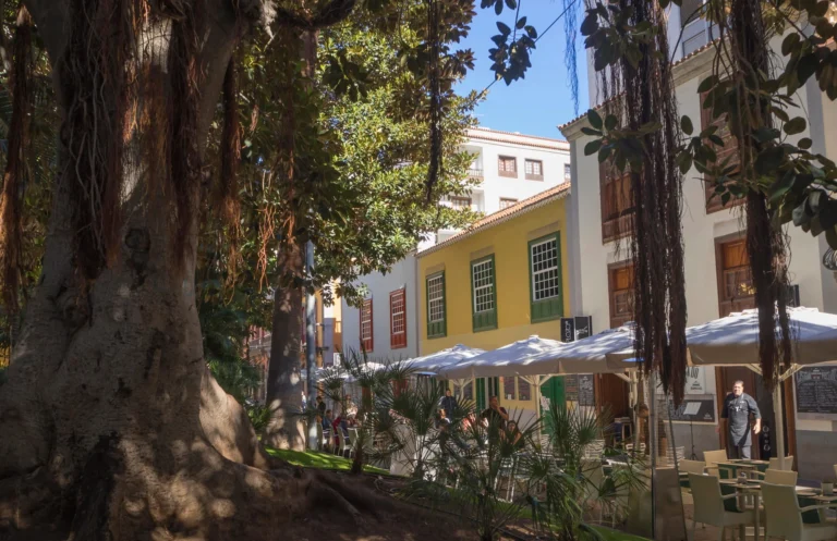 Why Tenerife Gets Under Your Skin - Santa Cruz