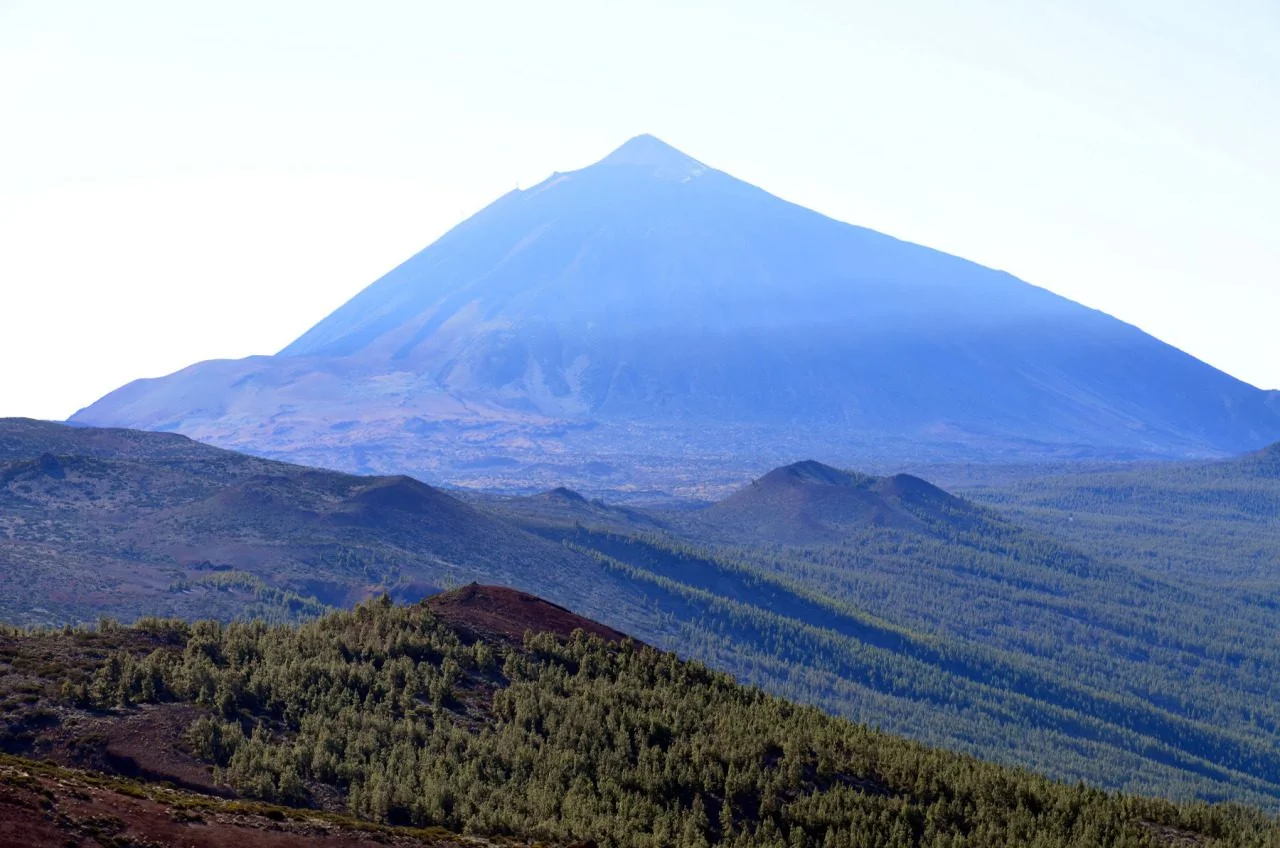 Tenerife Pine Forest & Valley